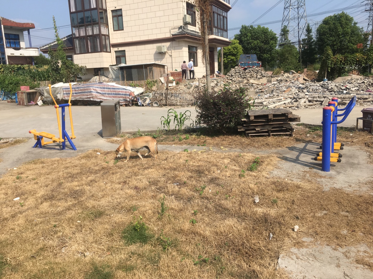 曙光村徐家埭健身點(diǎn)