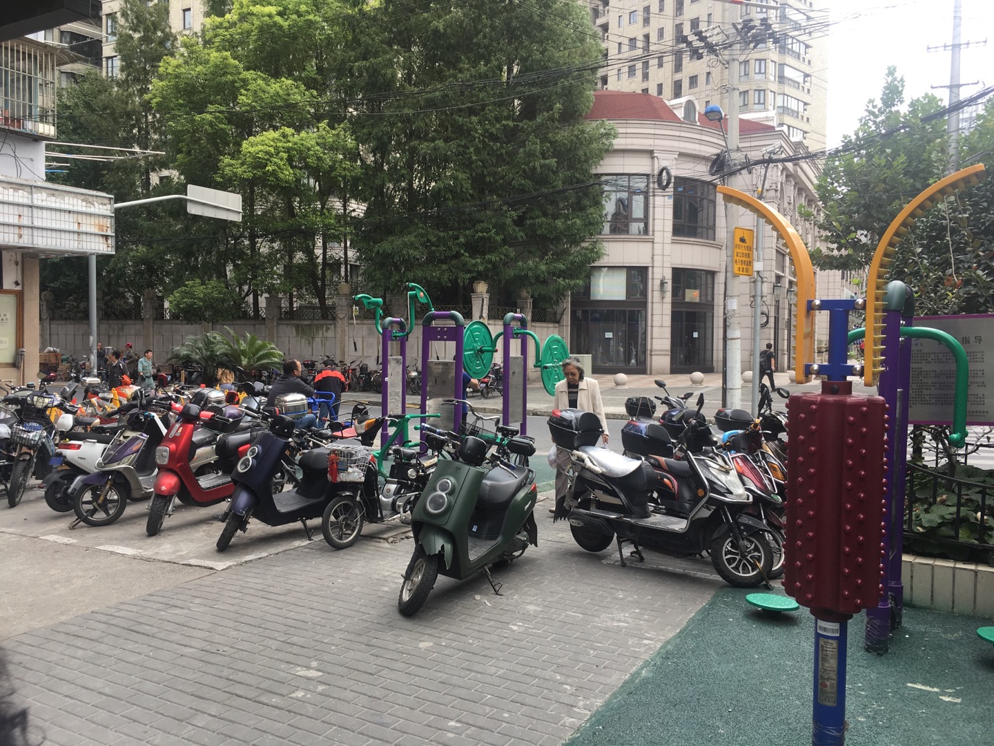 龍?zhí)毒游∩睃c