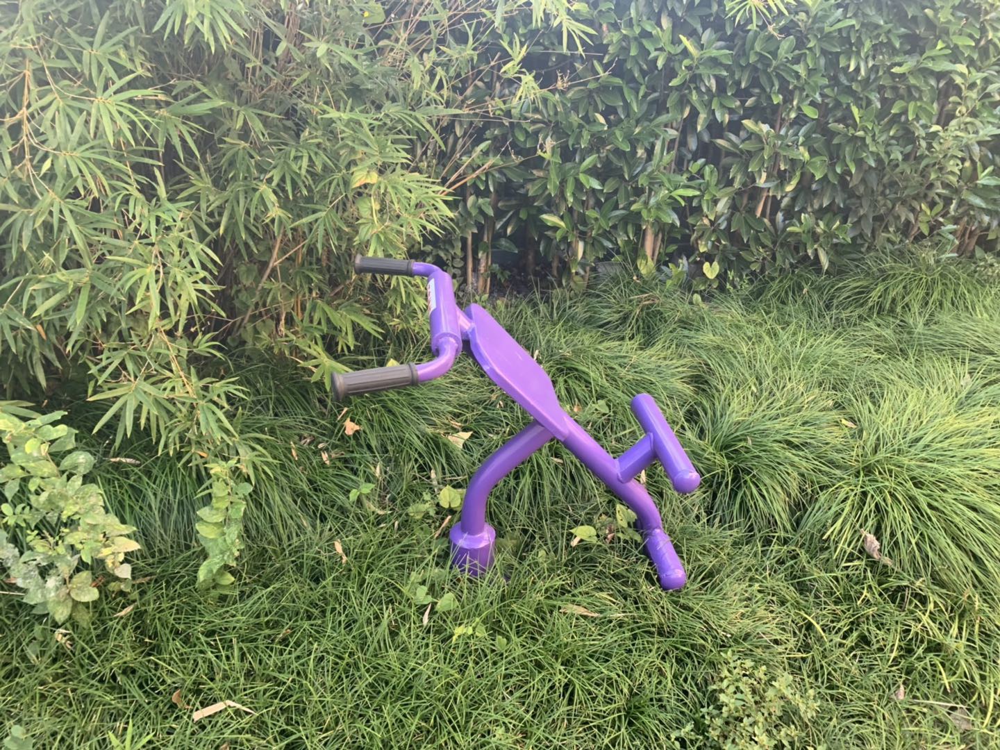 背肌訓(xùn)練器