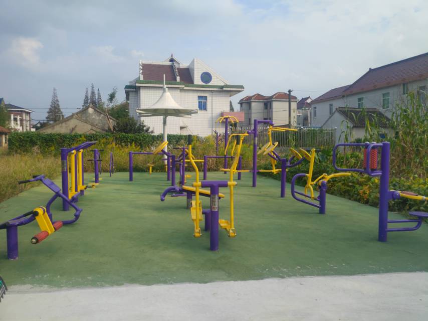 蟠南村11隊健身點