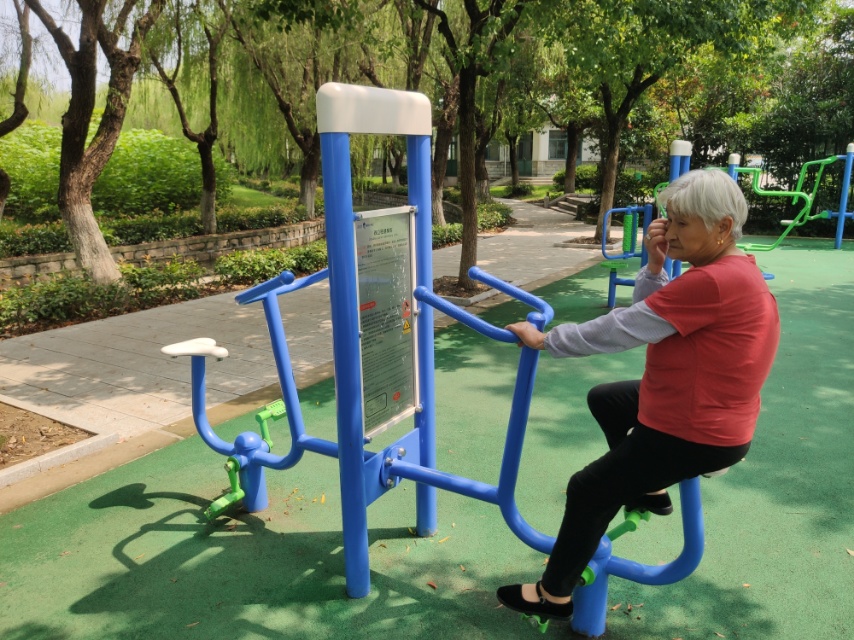 雙立柱健身車(chē)