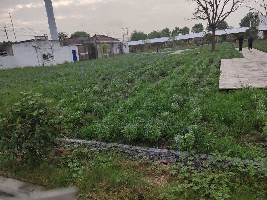 張馬村籃球場(chǎng)