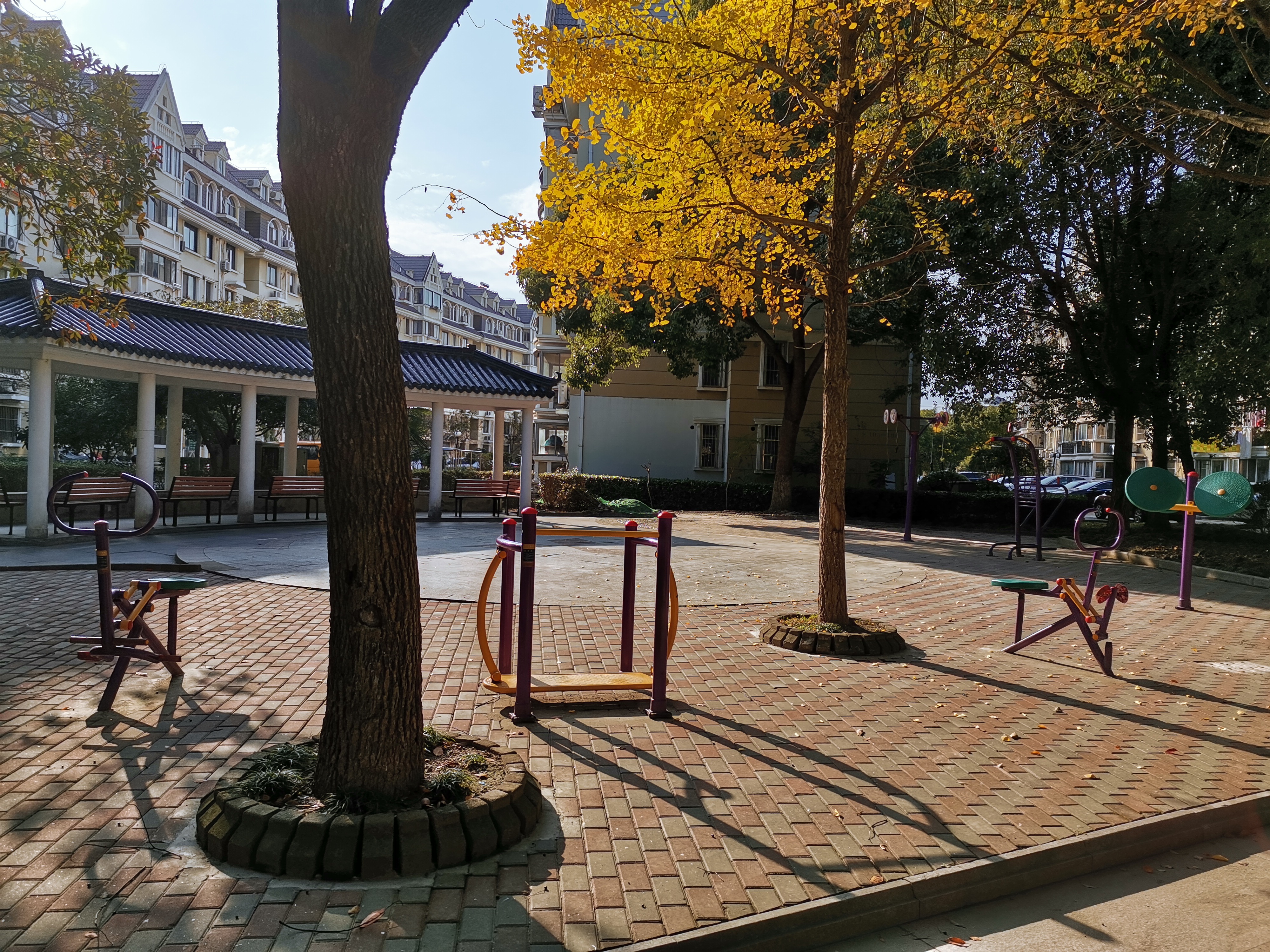 建設(shè)花園西區(qū)健身點(diǎn)