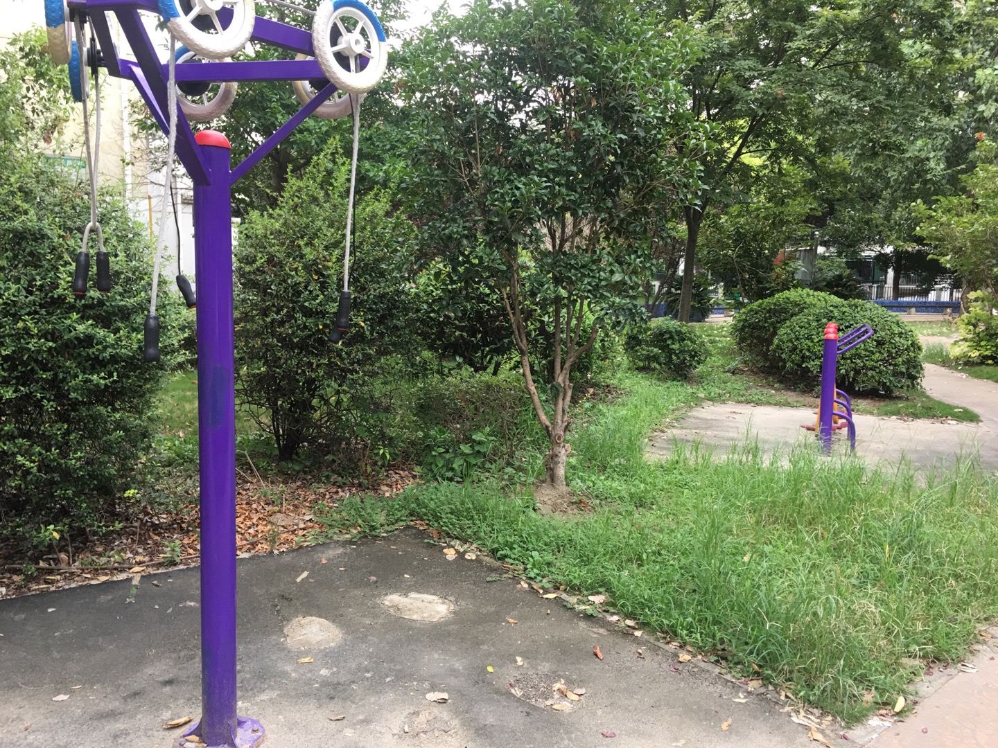 豐西社區(qū)健身苑點（2）