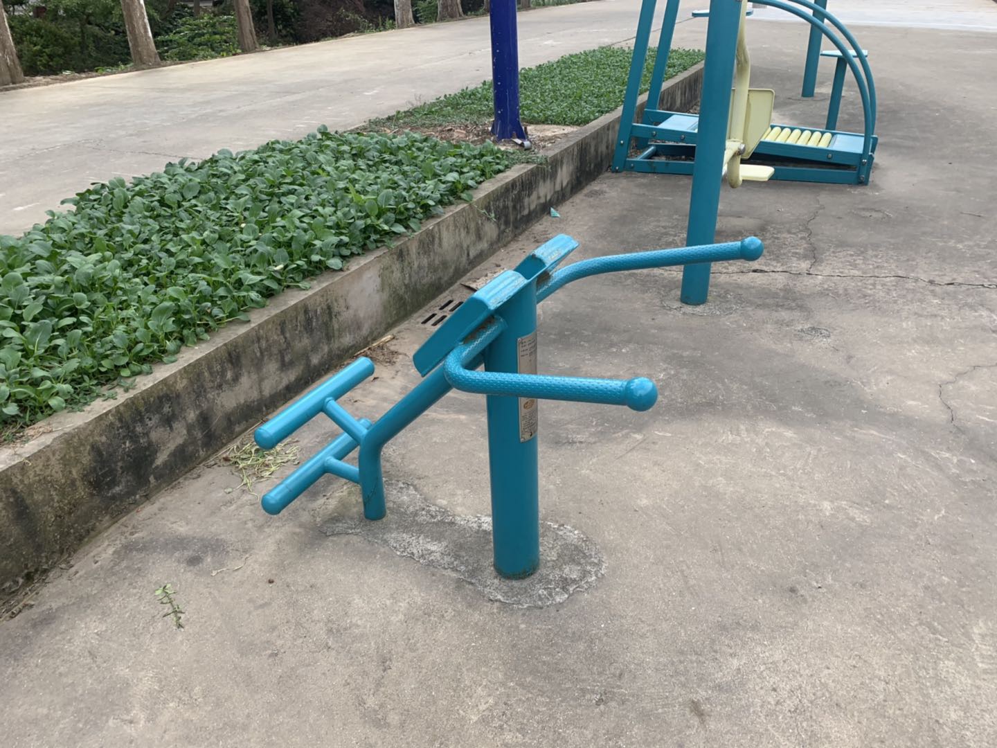 背肌訓(xùn)練器