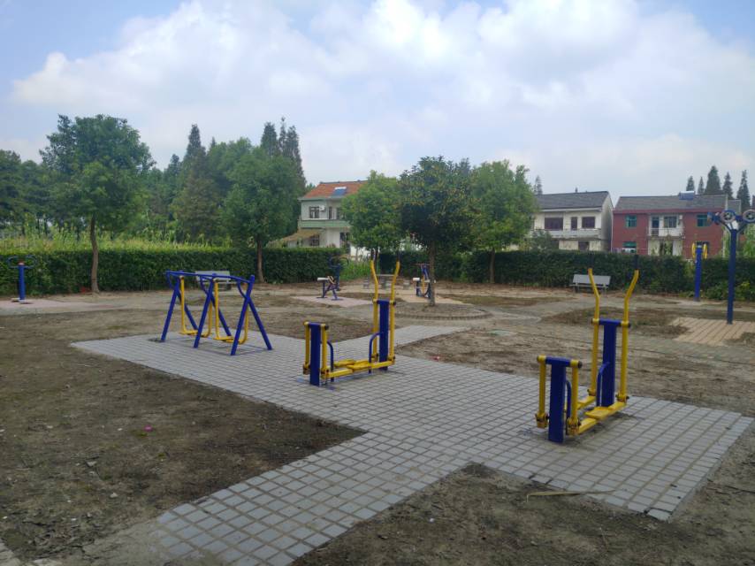 泖新村古松11隊