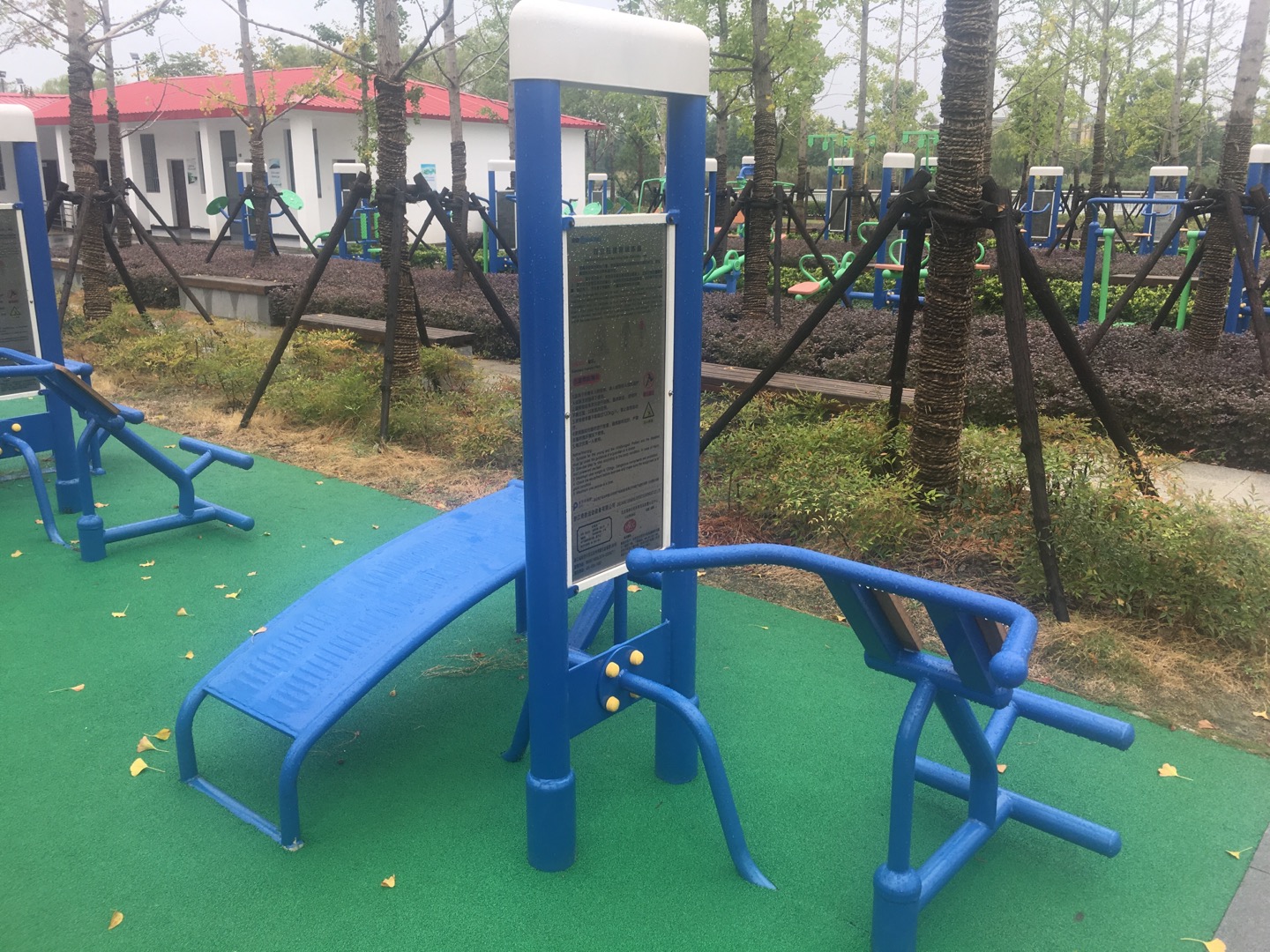 雙立柱腹背訓(xùn)練器