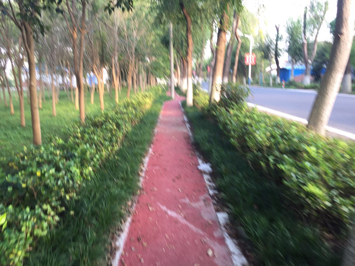 米洪村健身廊道