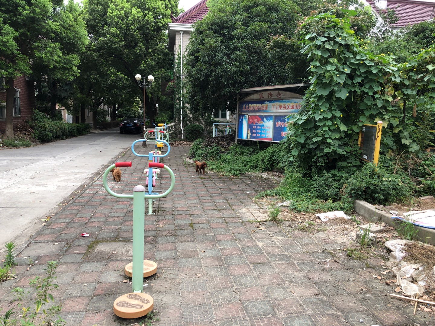 銀杏居委紀(jì)豐苑健身點(diǎn)