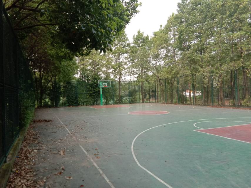 生態(tài)專項建設工程1.2標運動場