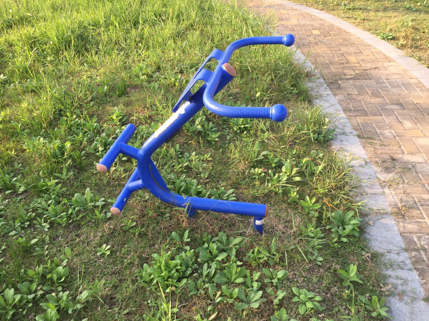 背肌訓(xùn)練器