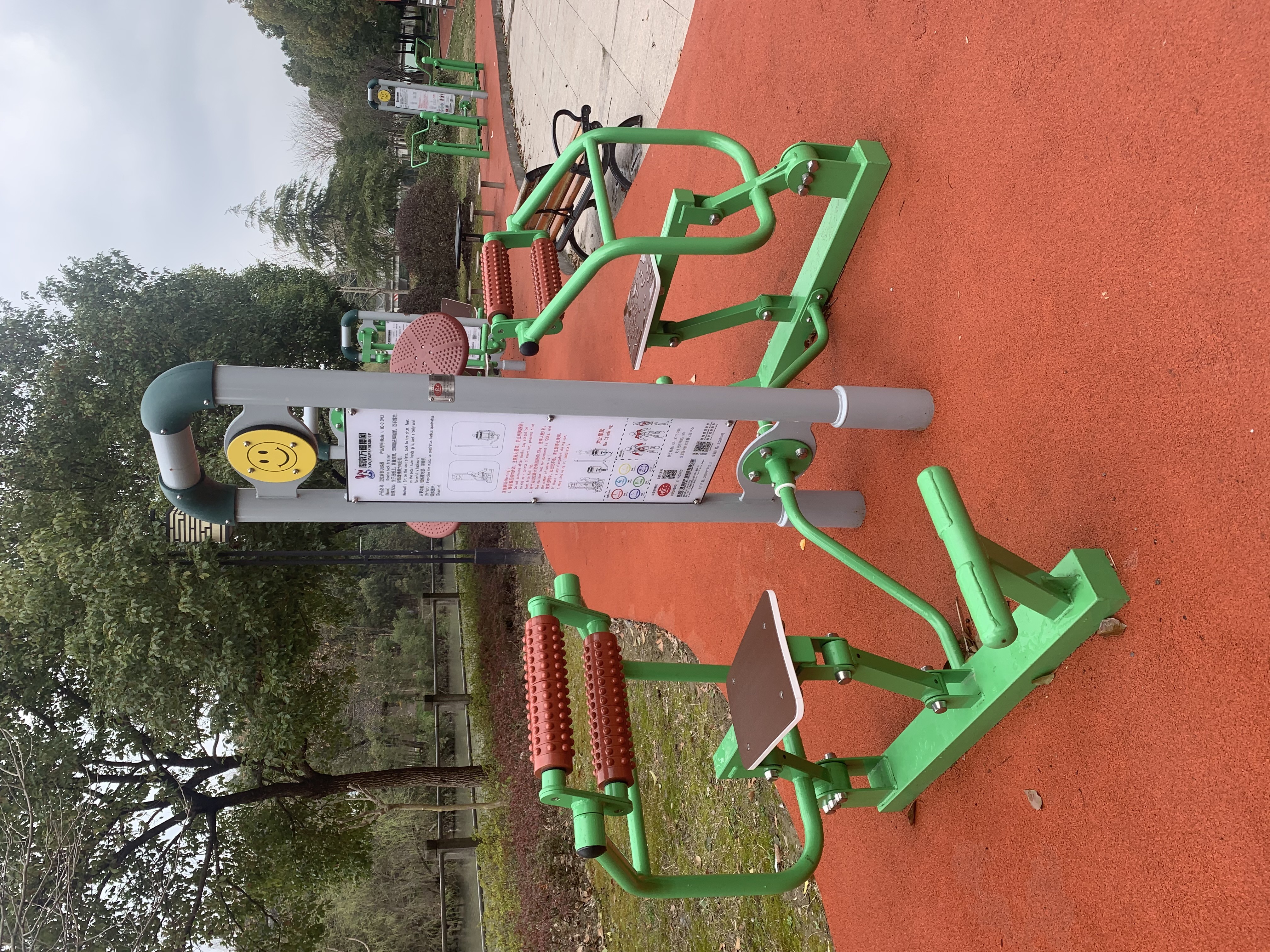 雙位背部訓練器