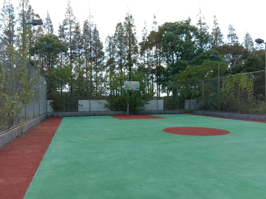 向化鎮(zhèn)公共球場