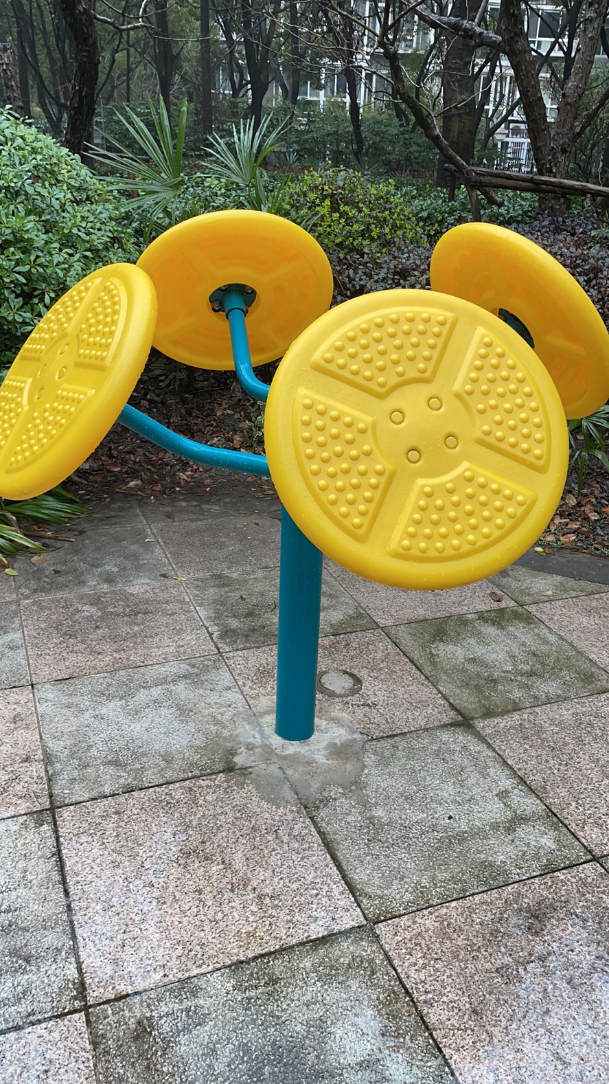 輪盤訓(xùn)練器