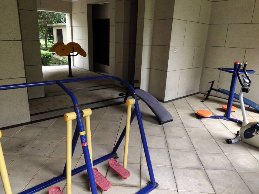 南翔鎮(zhèn)芳林社區(qū)居委會浩翔路508弄健身點