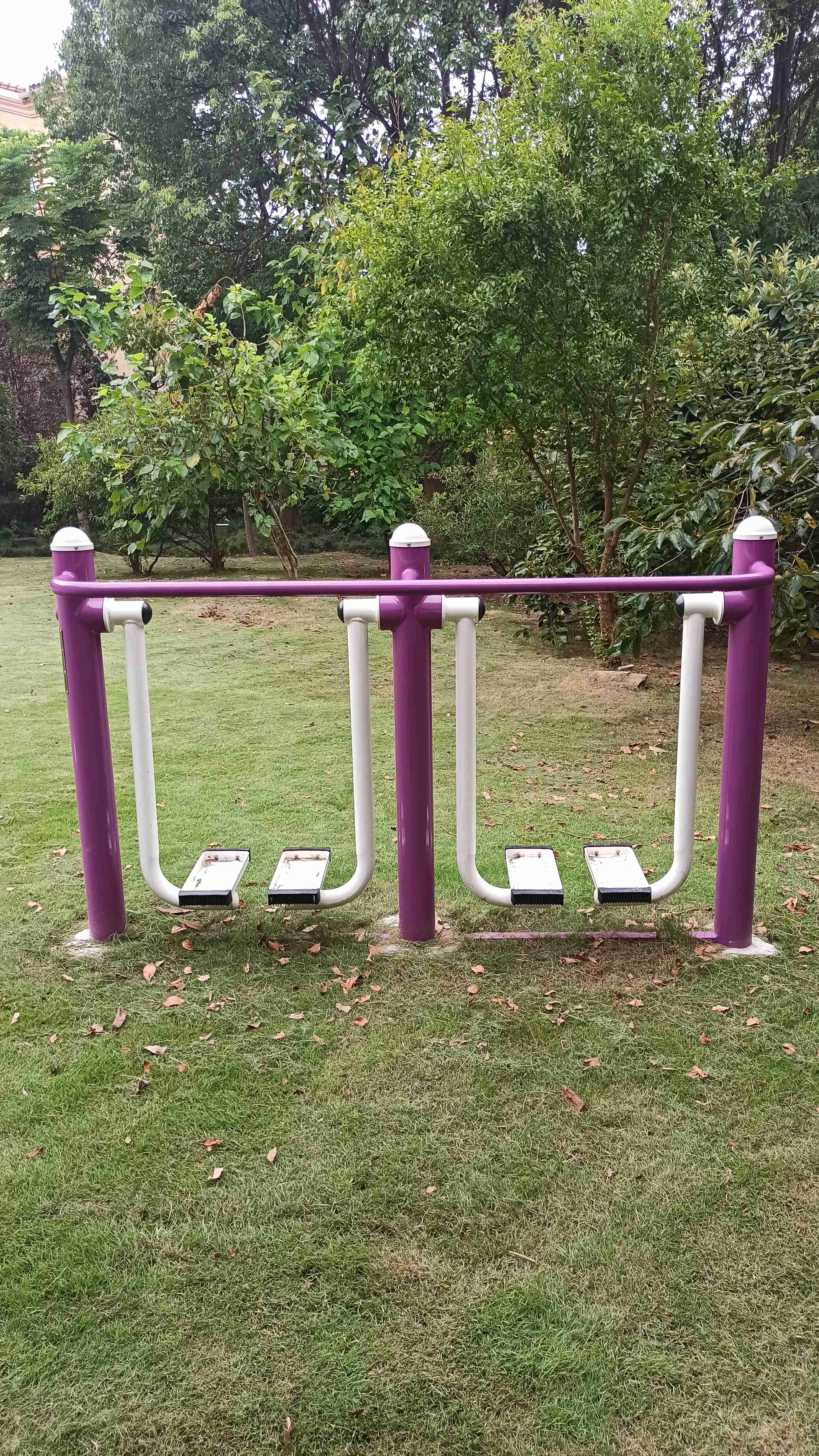 雙位漫步機(jī)