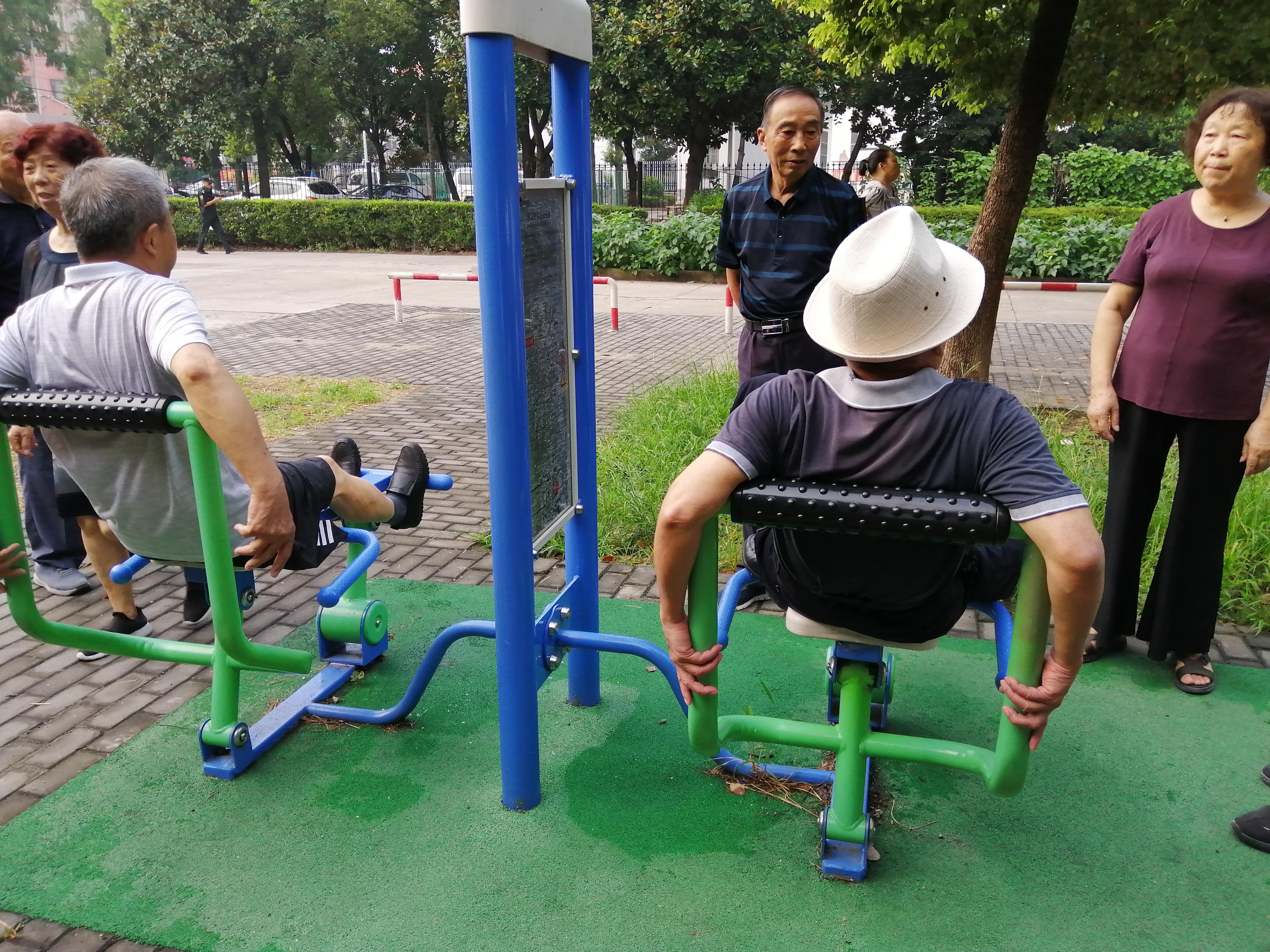 雙立柱背部訓(xùn)練器