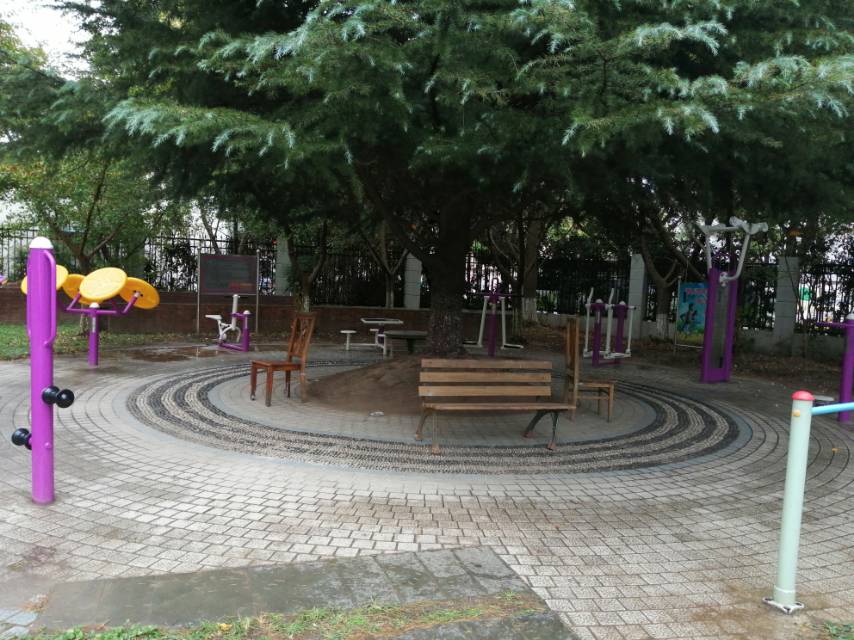 閔行區(qū)華漕鎮(zhèn)諸新路居委九方家園市民益智健身點