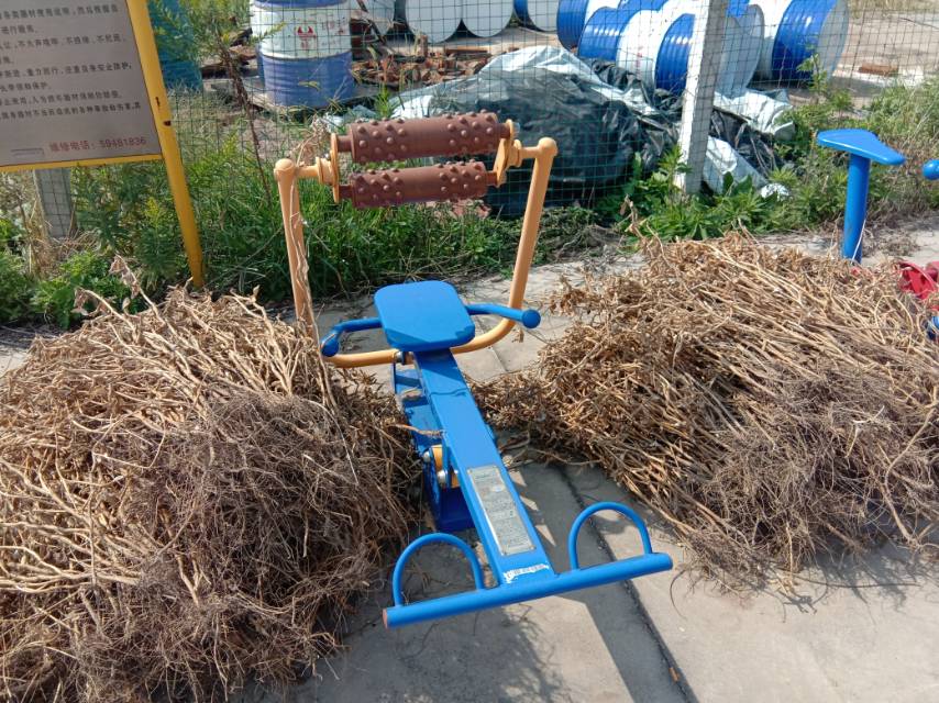 腹背屈伸訓(xùn)練器