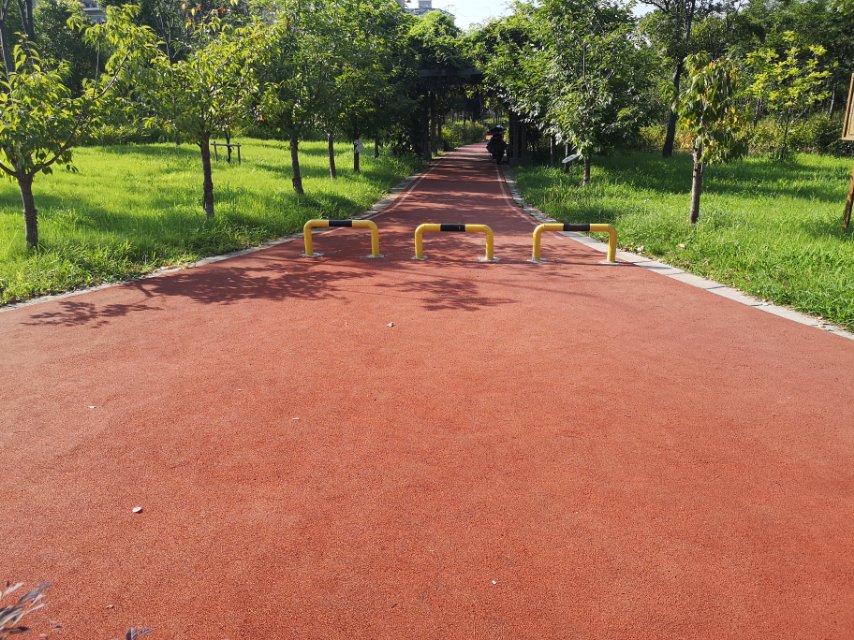 吳涇鎮(zhèn)公益林（北）健身步道