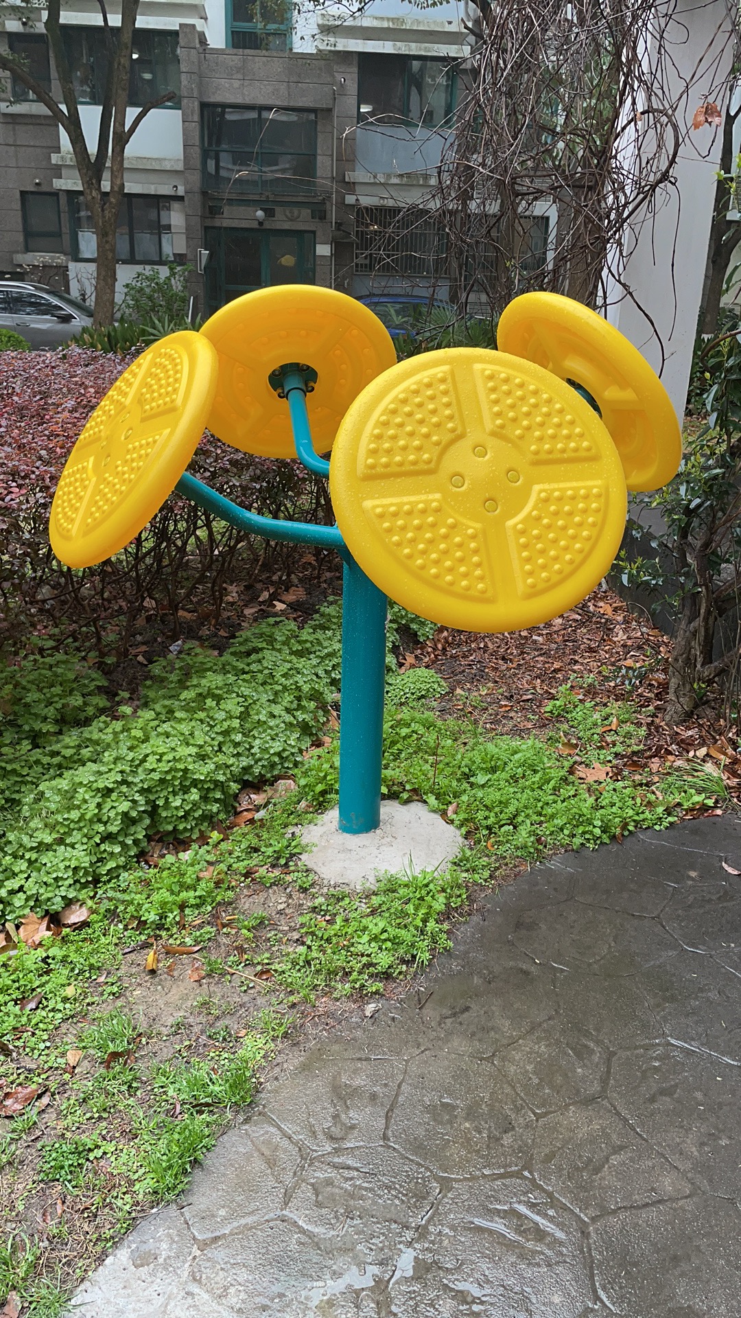 輪盤訓(xùn)練器