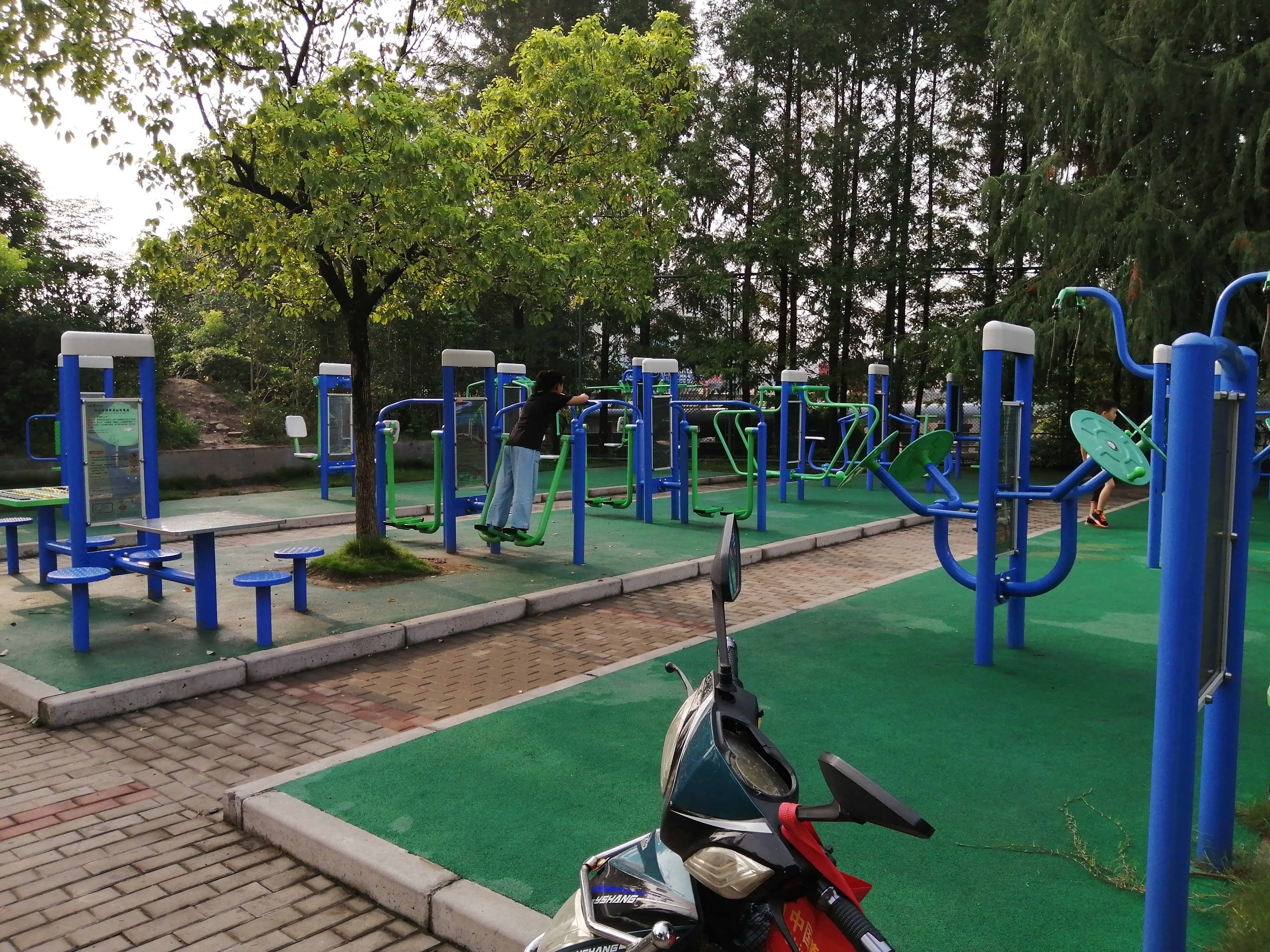 鳳溪公共運動場健身點