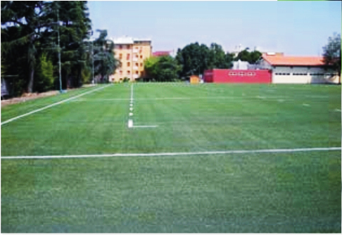 意大利雷焦艾米利亞橄欖球場(chǎng)（國(guó)際案例）