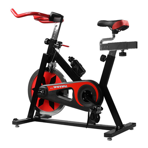 雷克1109家用動(dòng)感單車圖2