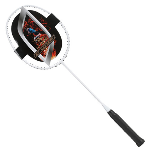 朗寧省隊(duì)羽毛球訓(xùn)練拍圖4