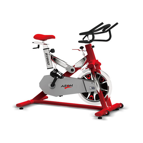 正倫B2800商用動(dòng)感單車圖3