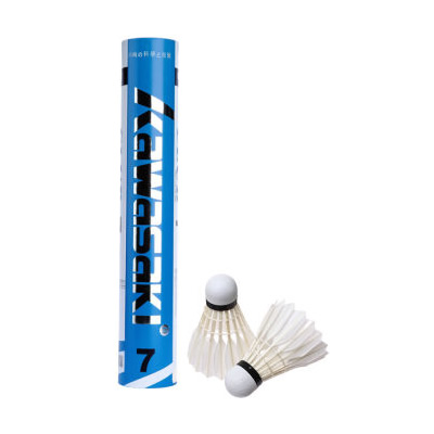 川崎俱樂(lè)部-7羽毛球