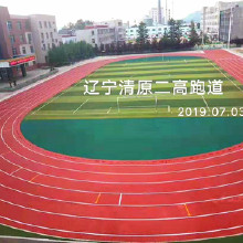 森躍大連塑膠跑道施工價格 預(yù)制型跑道 復(fù)合型塑膠跑道 戶外透氣型塑膠跑道 免費提供設(shè)計圖紙 全國各地施工
