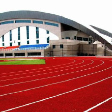 利達(dá)廠(chǎng)家供應(yīng)、混合型塑膠跑道施工、復(fù)合型塑膠跑道材料廠(chǎng)家