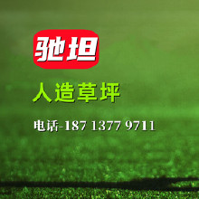 人造草坪工程 人造草坪價(jià)格 人造草坪 幼兒園操場(chǎng)足球場(chǎng) 人工草皮 仿真草皮 人造草坪